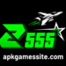 z555 game